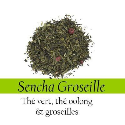 Thé Vert - Sencha Groseille