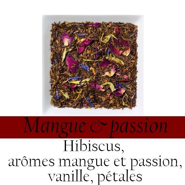 Rooibos - Mangue/passion