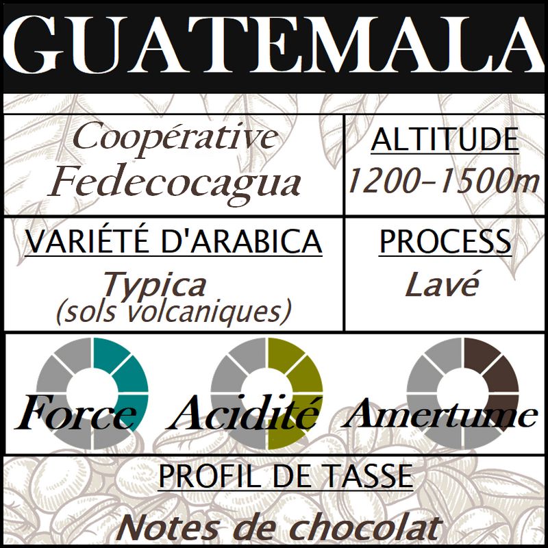 GUATEMALA Fedecocagua