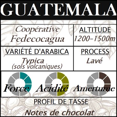 GUATEMALA Fedecocagua GUATEMALA Fedecocagua
