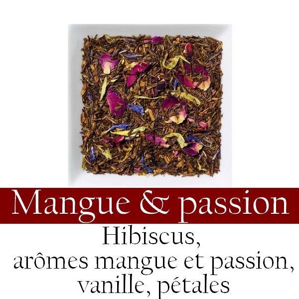 Rooibos - Mangue/passion