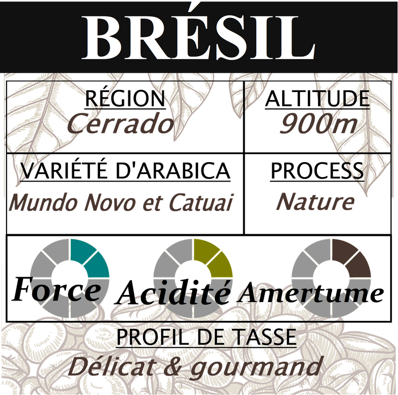 BRÉSIL Cerrado BRÉSIL Cerrado