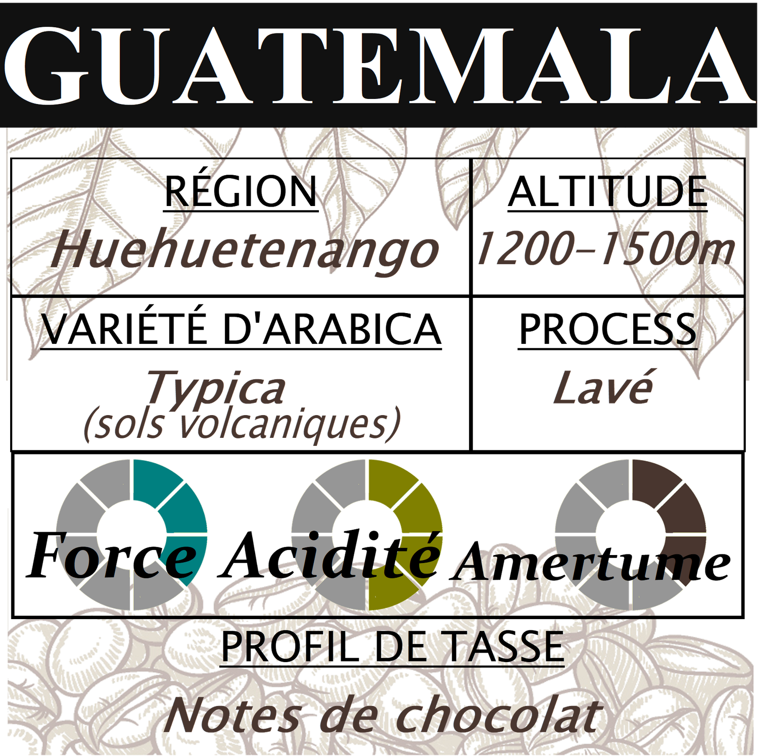 GUATEMALA GUATEMALA