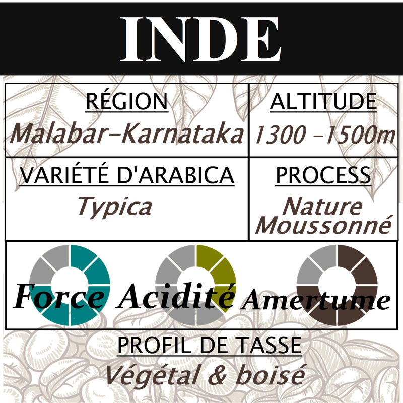 INDE Malabar Moussonné INDE Malabar Moussonné