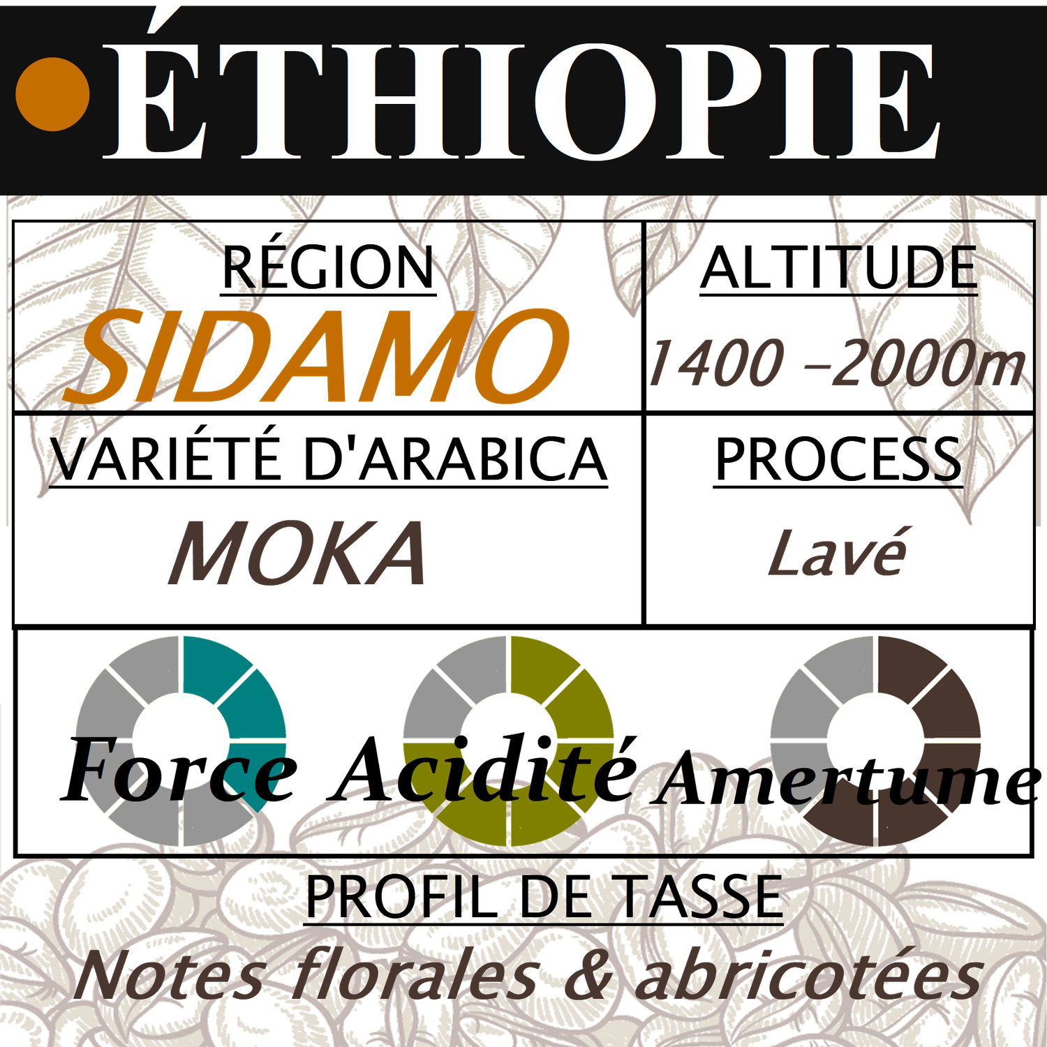ETHIOPIE Moka Sidamo ETHIOPIE Moka Sidamo