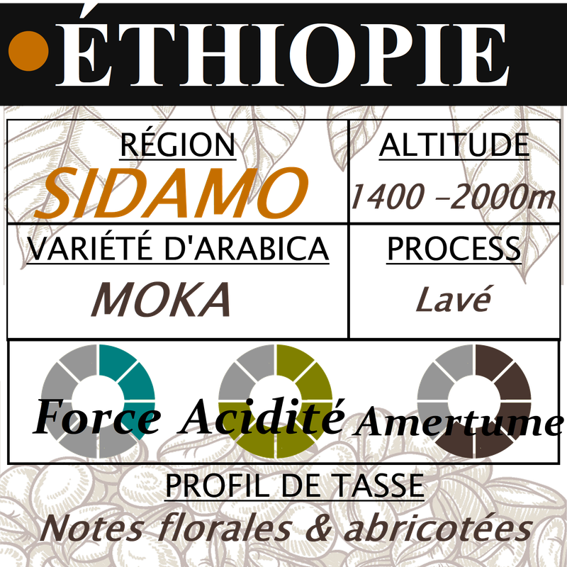 ETHIOPIE Moka Sidamo ETHIOPIE Moka Sidamo
