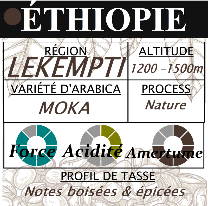 ETHIOPIE Moka Lekempti ETHIOPIE Moka Lekempti