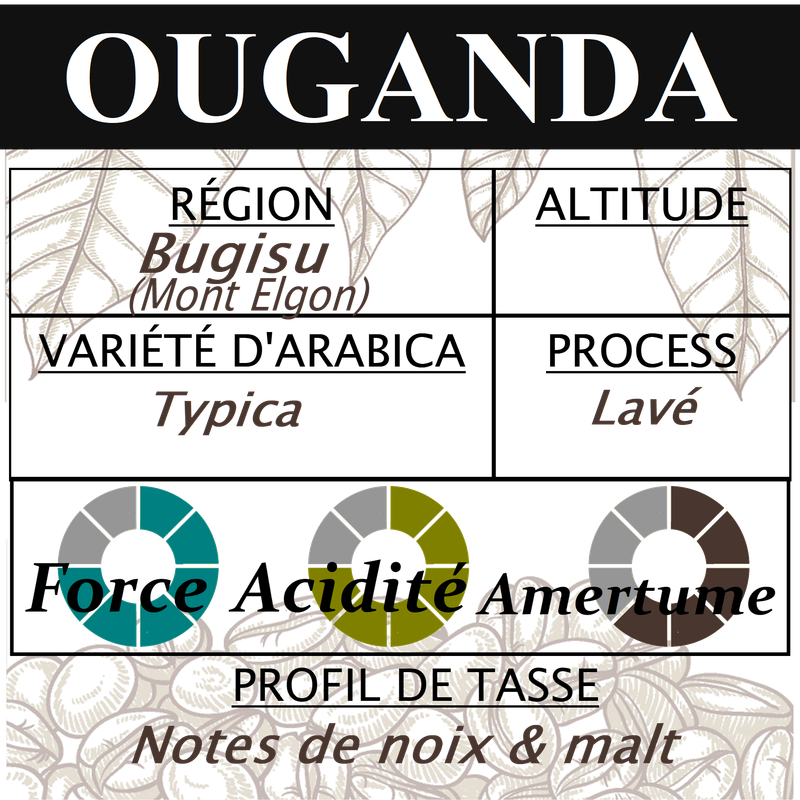 OUGANDA Bugisu OUGANDA Bugisu