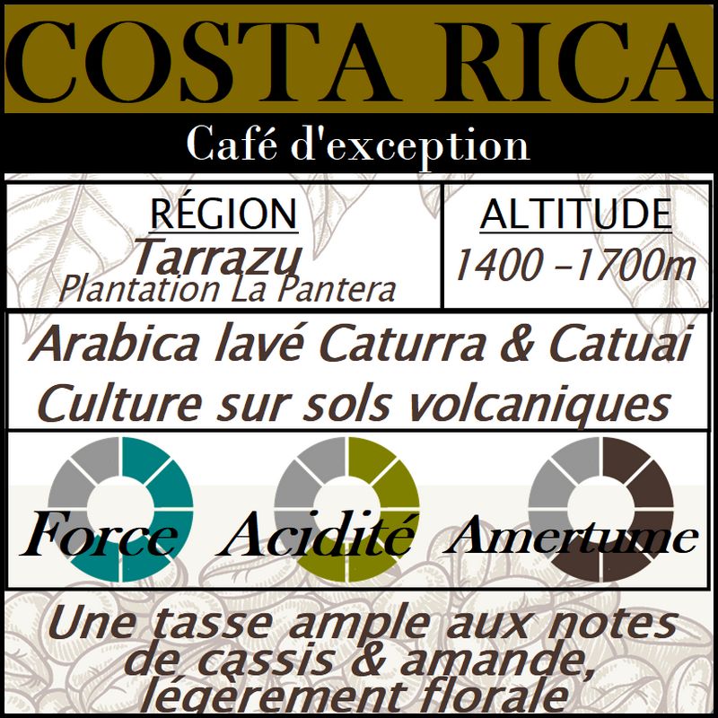 Café d'exception - COSTA RICA La Pantera