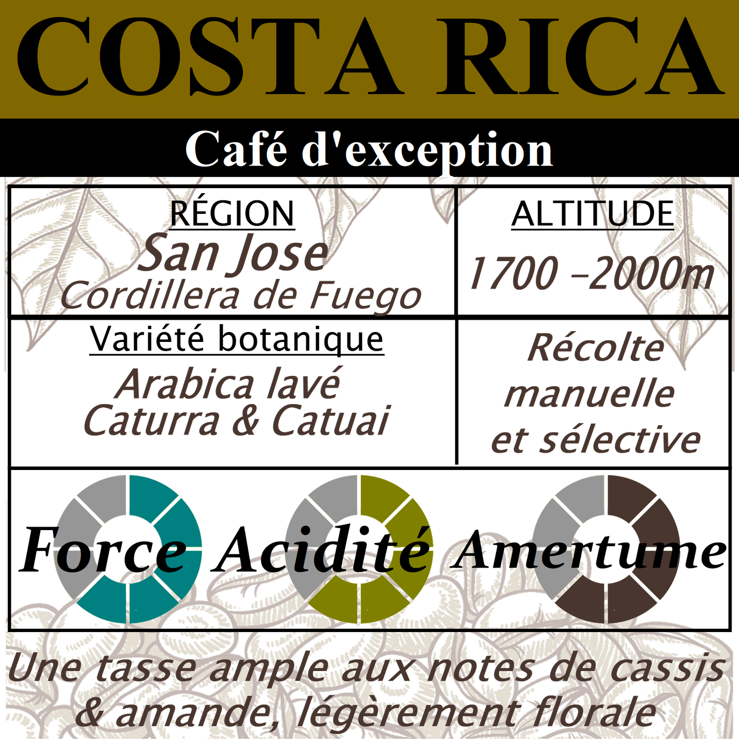 Café d'exception - COSTA RICA La Pantera Café d'exception - COSTA RICA La Pantera