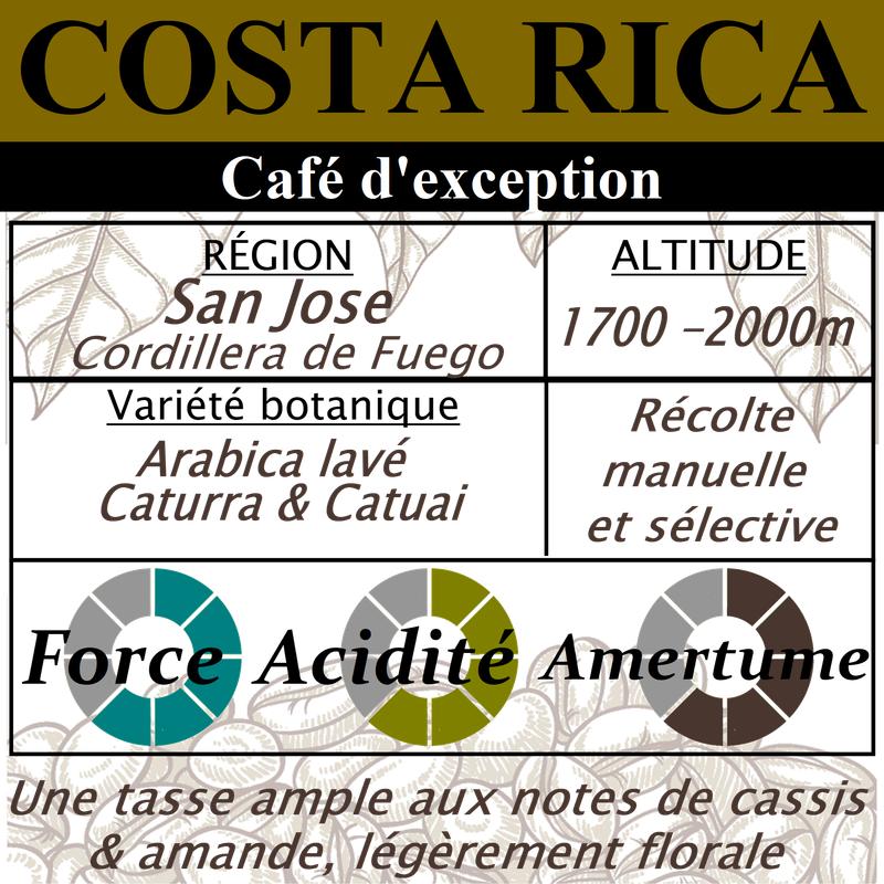 Café d'exception - COSTA RICA La Pantera Café d'exception - COSTA RICA La Pantera