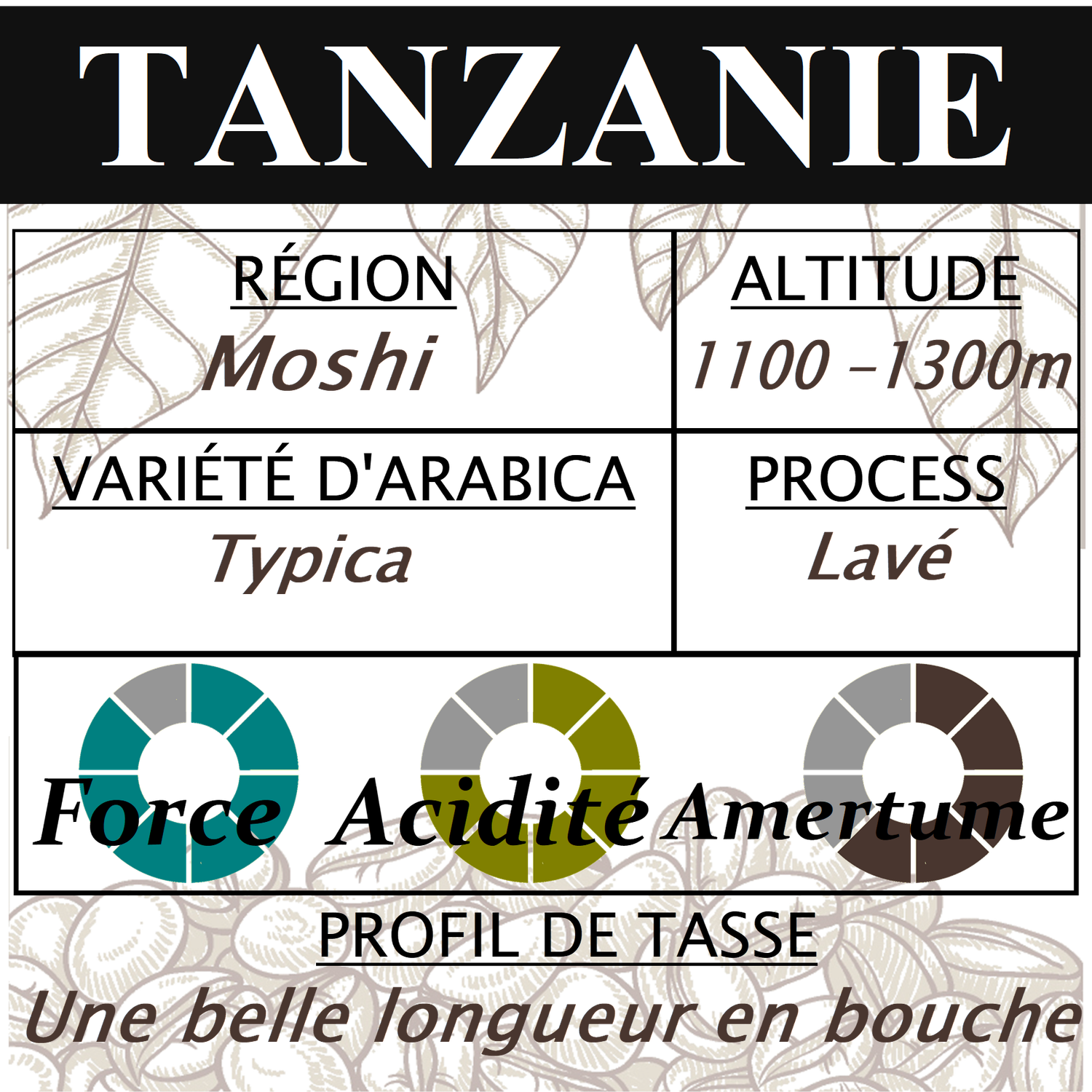 TANZANIE Moshi