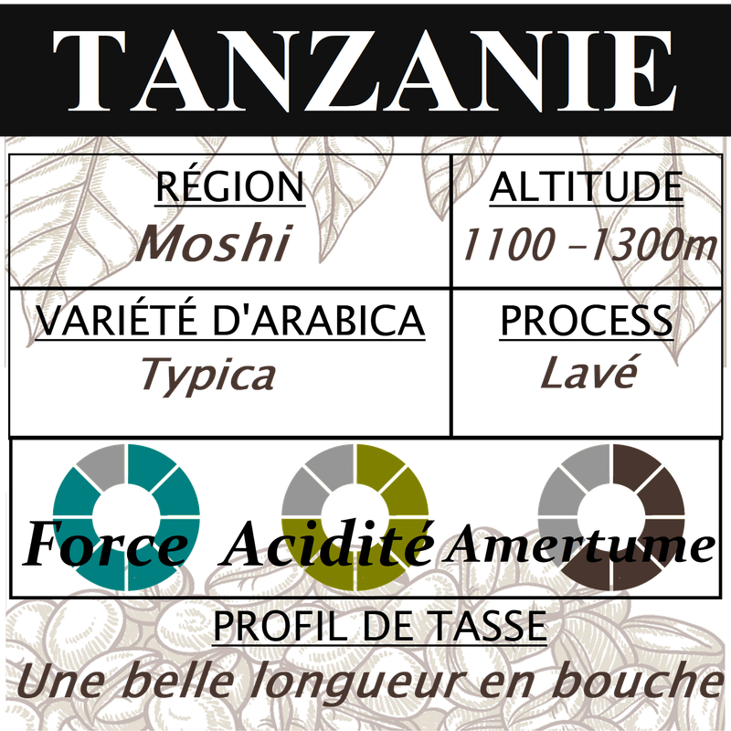 TANZANIE Moshi TANZANIE Moshi