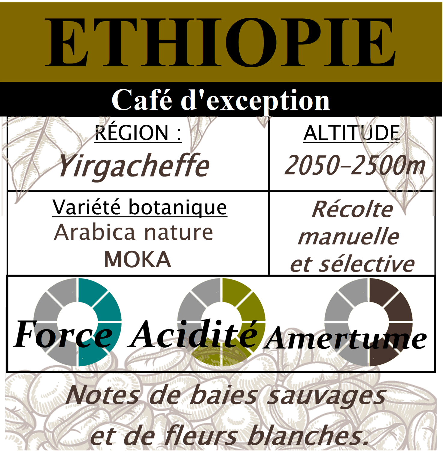 ETHIOPIE Moka Yrgacheffe