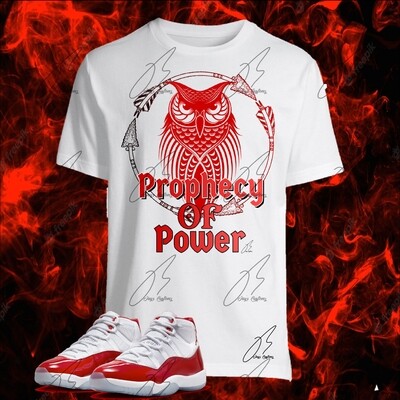Jordan 11 Cherry Red Matching Shirt,Hoodie,Sweatshirt, Power Graphic Tee