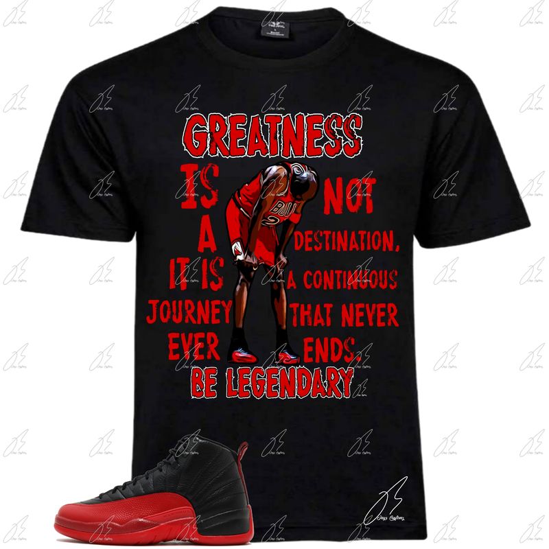 Jordan 12 Flu Game Matching T-Shirt, MJ Greatness Sneaker Graphic Tee