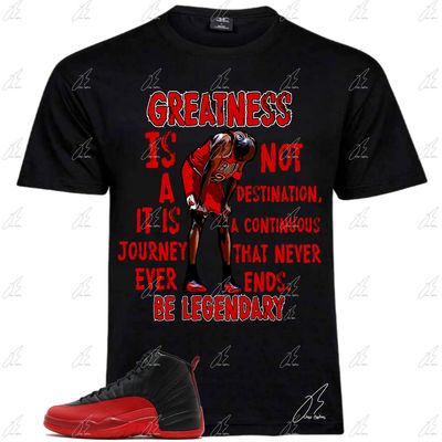 Jordan 12 Flu Game Matching T-Shirt, MJ Greatness Sneaker Graphic Tee