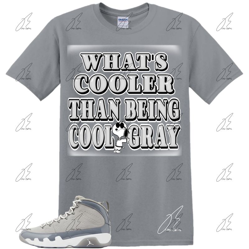 Jordan 9 Cool Grey Matching T-Shirt, What&#39;s Cooler Sneaker Graphic Tee