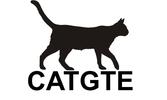 CATGTE Store