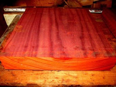 BEAUTIFUL PADAUK GUITAR BLANK 19 X 14 X 2&quot;