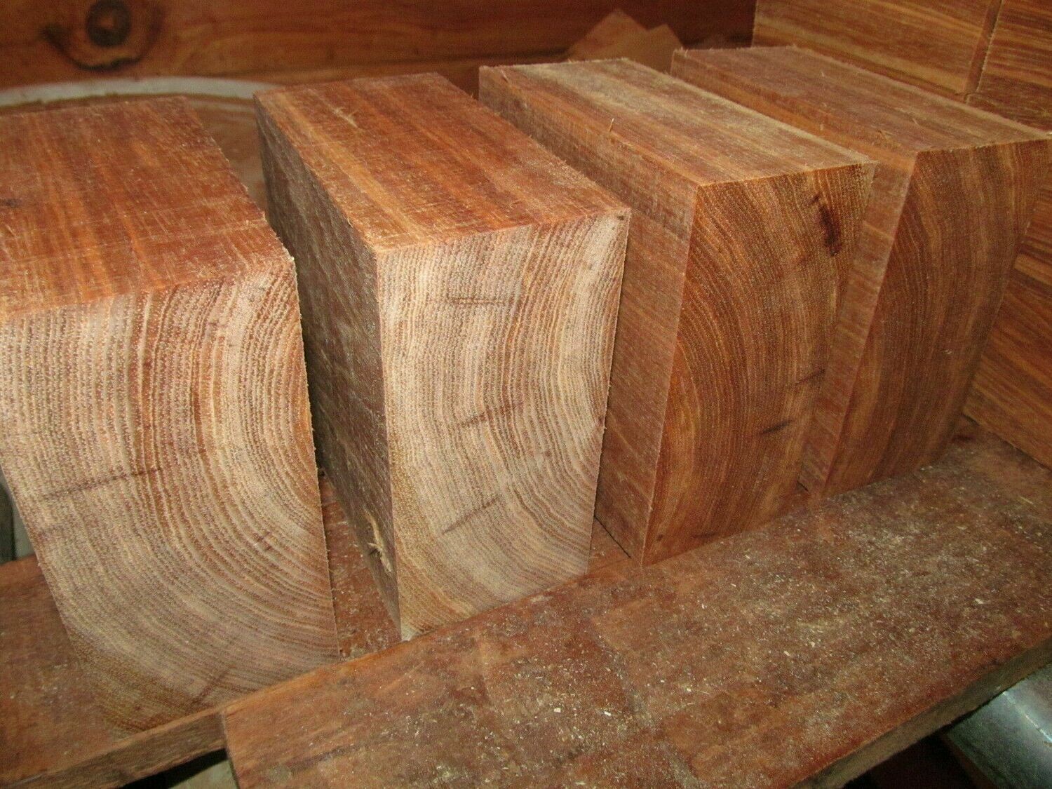 4 PECAN BOWL BLANKS 6&quot; X 6&quot; X 3&quot;