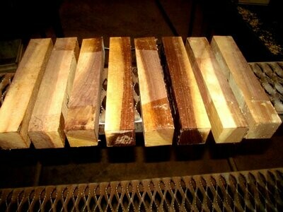 8 SAPPY WALNUT TURNING BLANKS LATHE 2 X 2 X 11&quot;