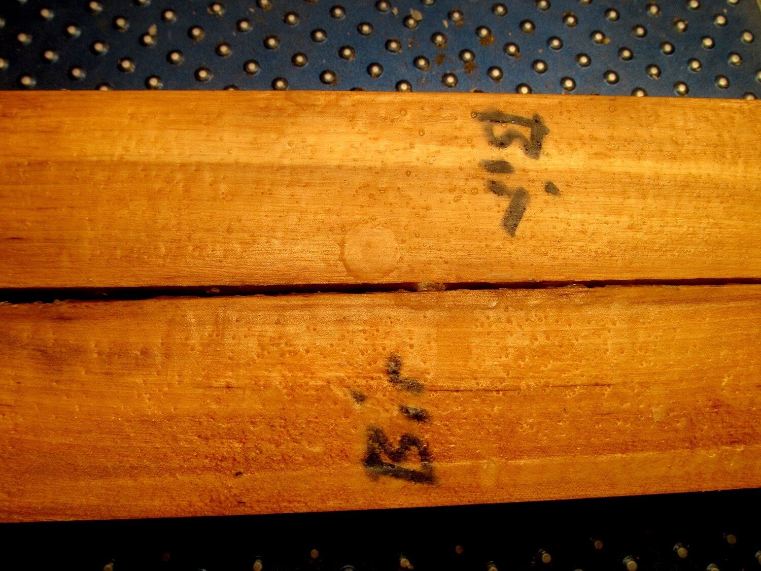 Eight Red River Birch 2&#39;&#39; x 2&#39;&#39; x 11&#39;&#39;