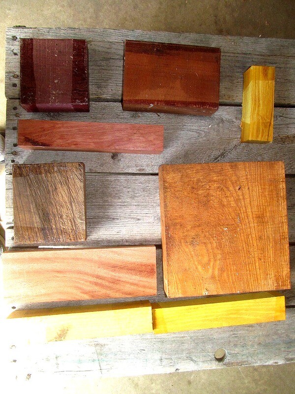 Large Box of Exotic and Domestic Wood Blanks