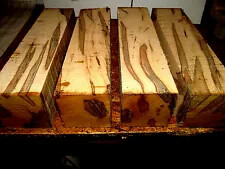 LARGE AMBROSIA MAPLE  VESSEL VASE BLANKS 5 X 5 X 12&quot;