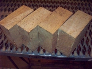 6 SIBERIAN ELM BOWL BLANKS 5&quot; X 5&quot; X 3&quot;