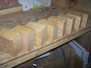 8 SASSAFRAS 5 x 5 x 3