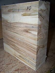 AMBROSIA MAPLE 12 x 12 x 3