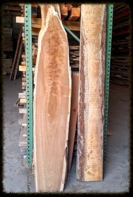 WOOD SLABS