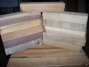 10 VARIOUS SPECIES 2 X 2 X 11