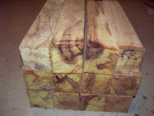 24 AMBROSIA MAPLE TURNING BLANKS 2&quot; X 2&quot; X 11&quot;