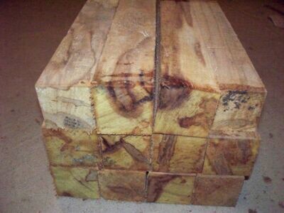 24 AMBROSIA MAPLE TURNING BLANKS 2&quot; X 2&quot; X 11&quot;