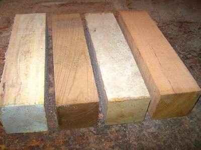 VARIETY PACK: WALNUT, HICKORY, ELM, COFFEE TREE TURNING WOOD BLANKS 3 X 3 X 12&quot;