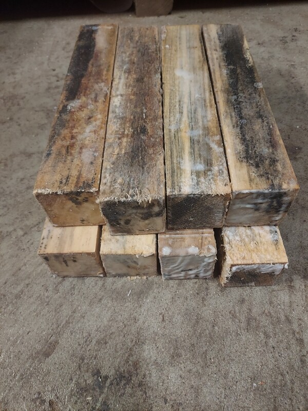 8 SPALTED GREEN BASSWOOD 2 X 2 X 11&quot;
