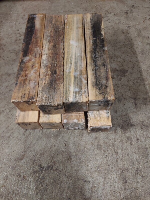 8 SPALTED GREEN BASSWOOD 2 X 2 X 11"