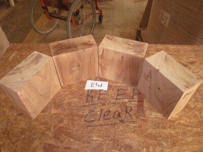 4 SIBERIAN ELM BOWL BLANKS 6&quot; X 6&quot; X 3&quot; EW