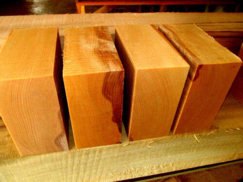 4 Beautiful Beech Bowl Blanks 5&quot; X 5&quot; X 3&quot;