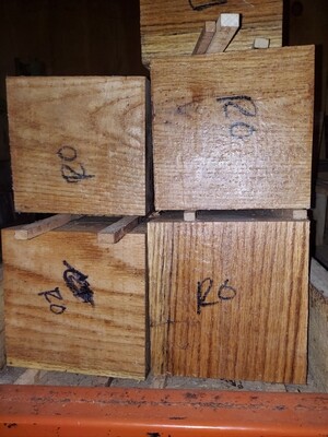 4 KILN DRIED RED OAK BOWL  BLANKS 6 X  X 3&quot;