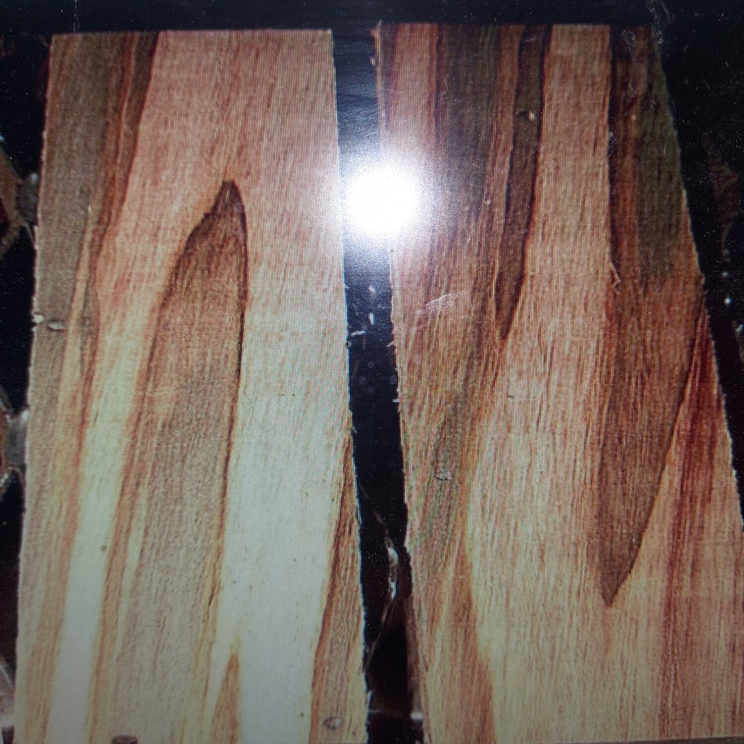 2 BEAUTIFUL KILN DRIED AMBROSIA MAPLE KNIFE SCALES ~6 X 2 X 1/2&quot;