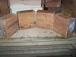 1 HACKBERRY BOWL BLANKS 12&quot; X 12&quot; X 3&quot;