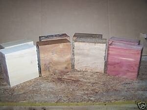 8 PACK VARIETY KILN DRIED BOWL BLANKS MAPLE, CHERRY, RED OAK, AFRICAN MAHOGANY 6&quot; X 6&quot; X 3&quot;