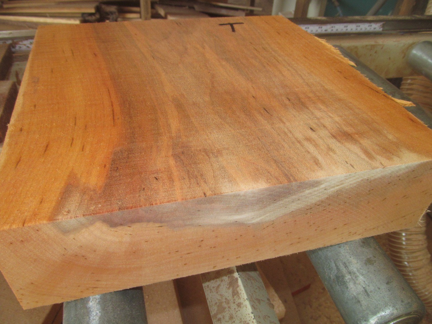 THICK RED RIVER BIRCH BOWL BLANK 8 X 8 X 3&quot;
