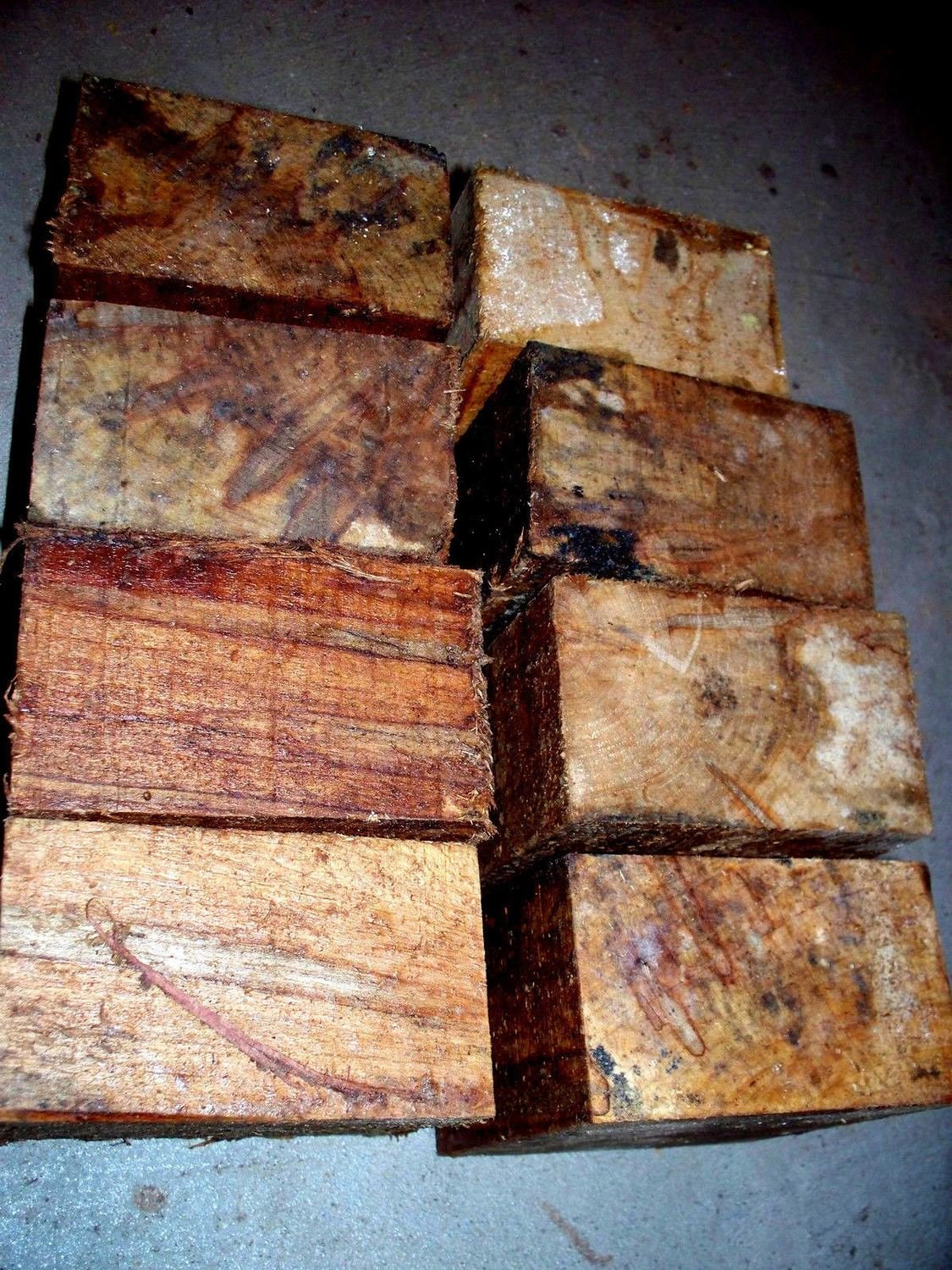 6 AMBROSIA MAPLE BOWL BLANKS 5&quot; X 5&quot; X 3&quot;
