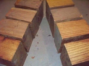 6 COFFEE TREE BOWL BLANKS 5&quot; X 5&quot; X 3&quot;