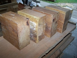 FOUR HONEY LOCUST BOWL BLANKS 6&quot; X 6&quot; X 3&quot;