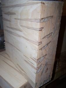 LARGE THICK AMBROSIA MAPLE 12&quot; x 12&quot; x 4&quot;